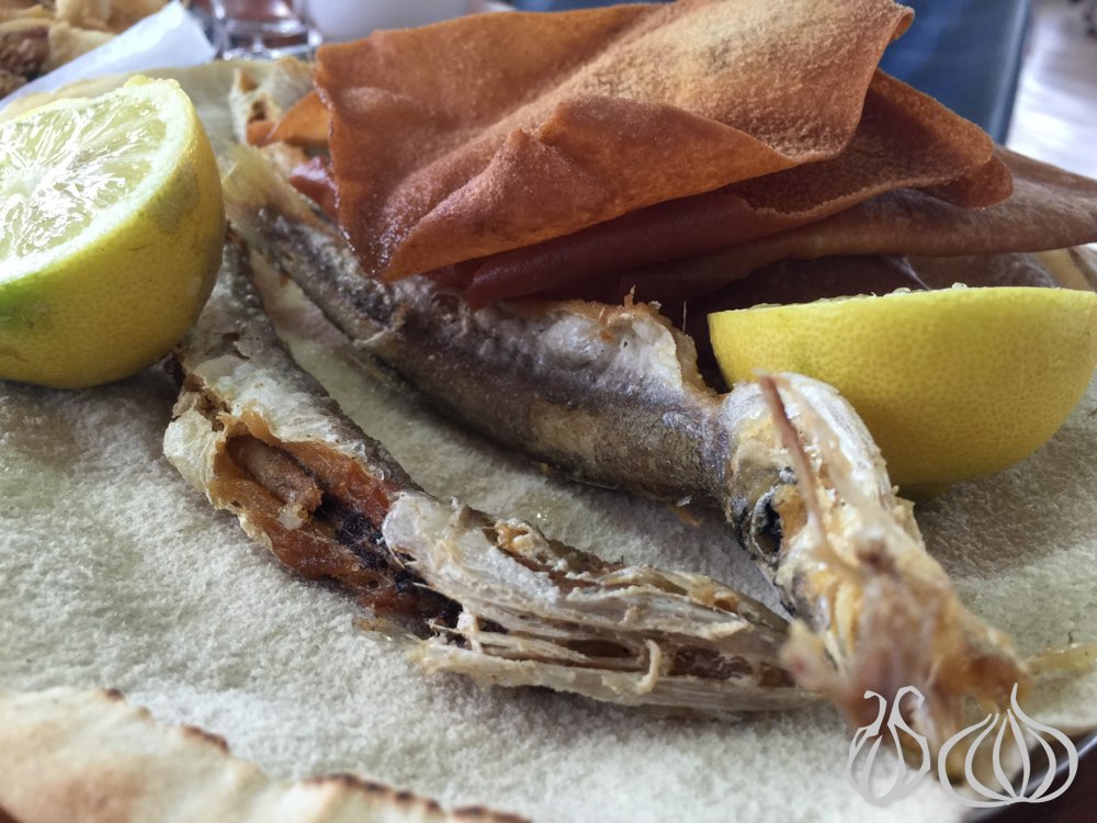 gerge-dayaa-georges-village-seafood-anfeh-restaurant312015-01-25-04-25-40