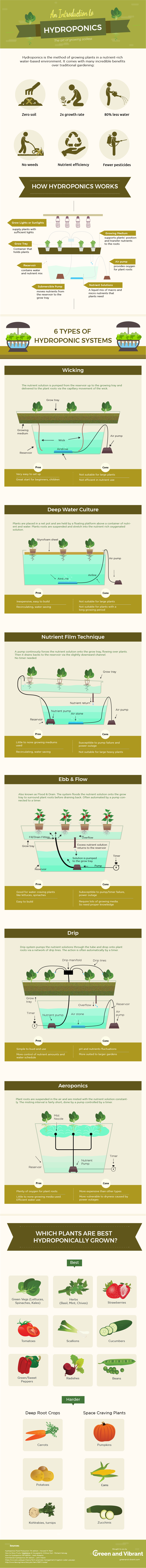 hydroponic-gardening-infographic
