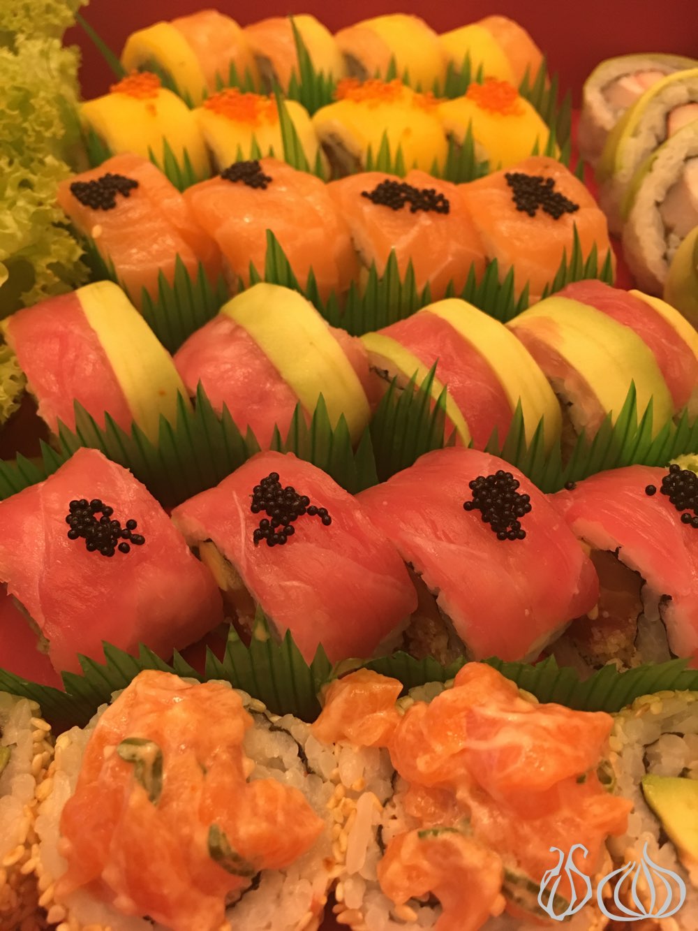 tokyo-sushi-mtayleb72016-09-15-06-18-19