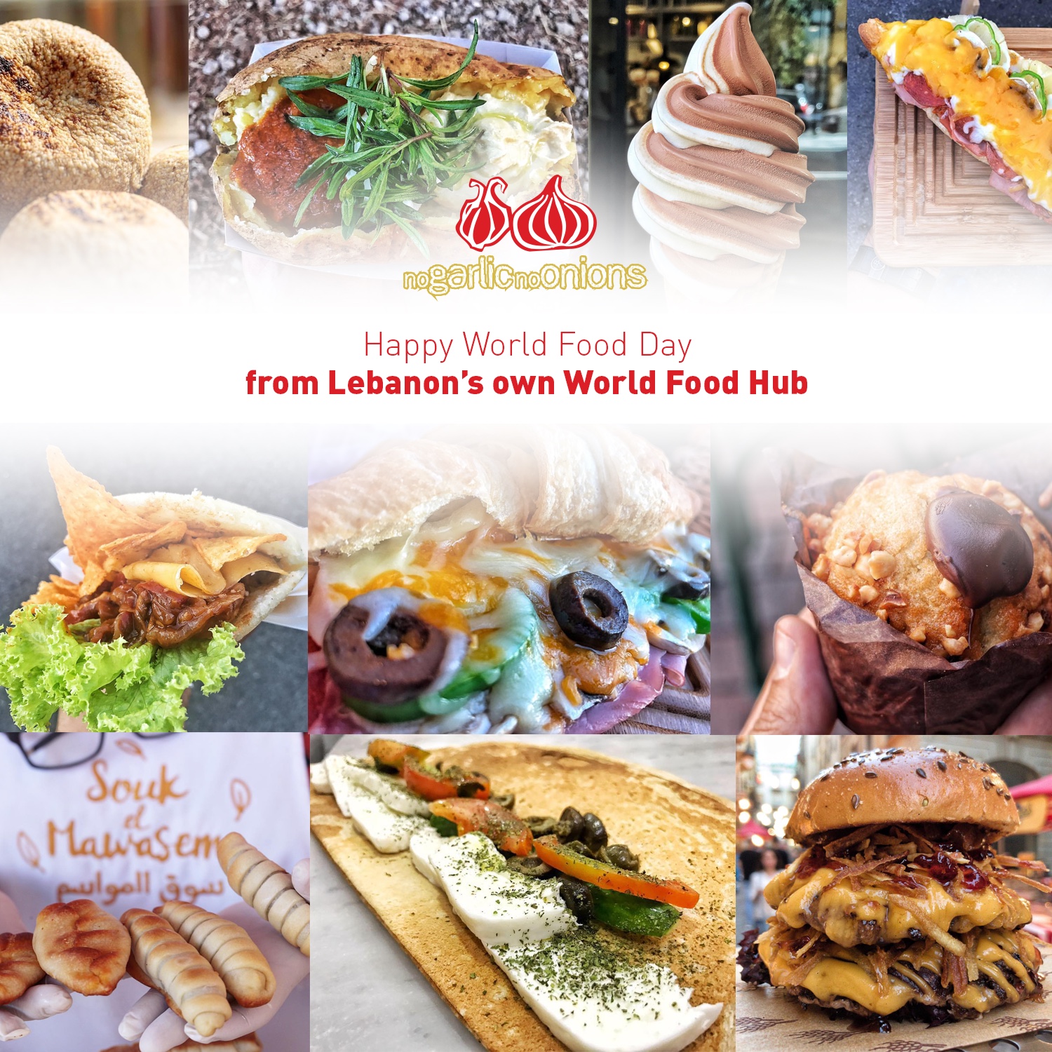 NGNO Food Day Lebanon