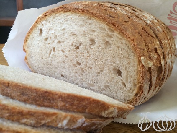 Bread_Republic27
